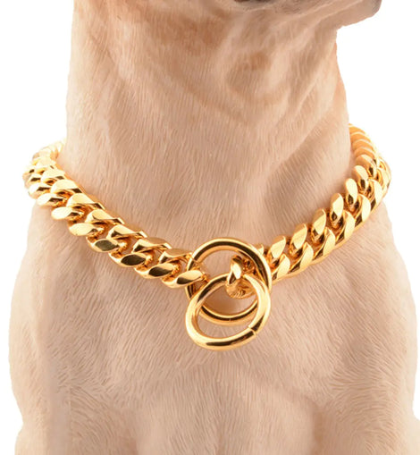 Gold Link Chain Collar for Dogs